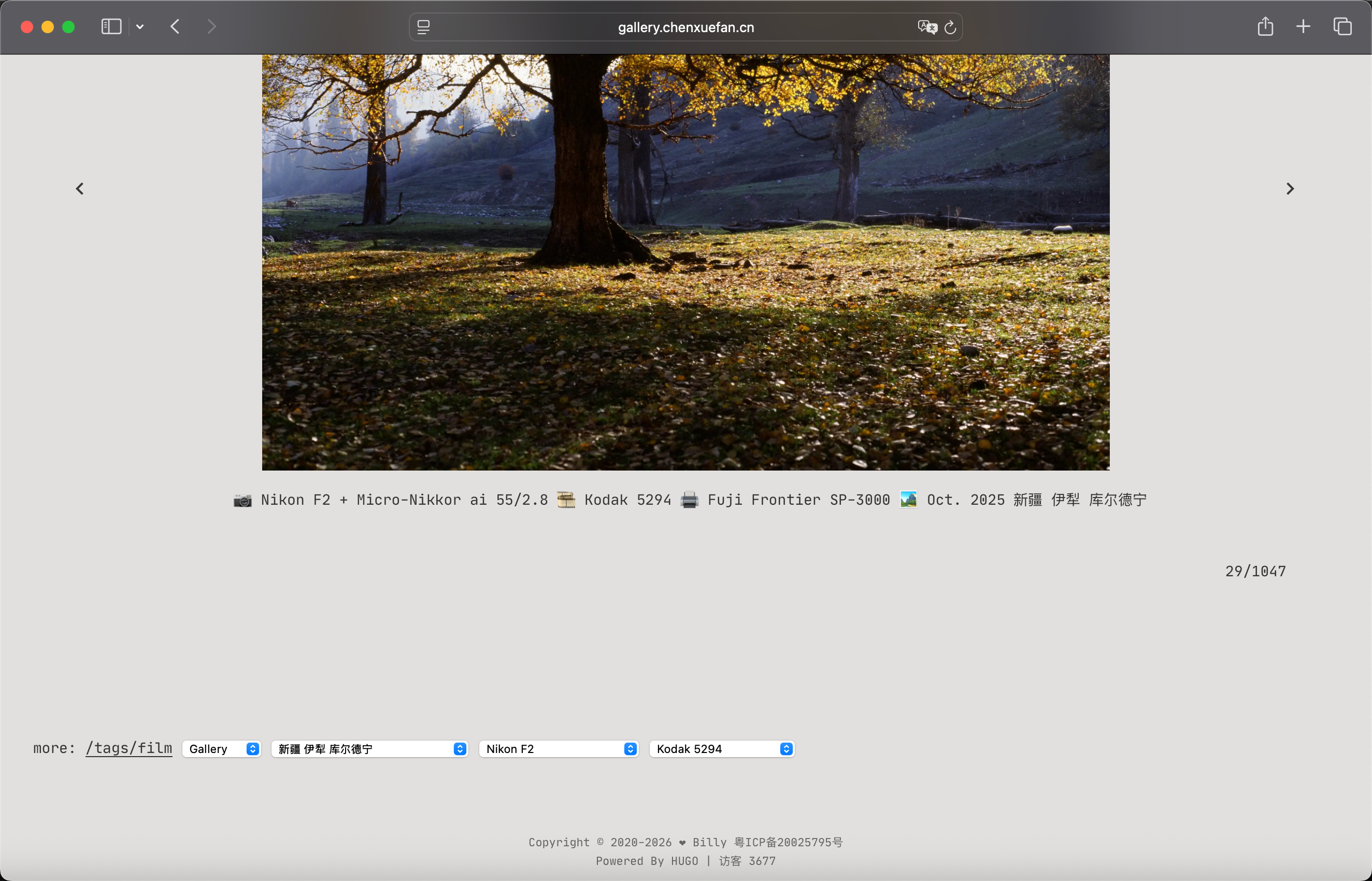 1201769596722_.pic_hd